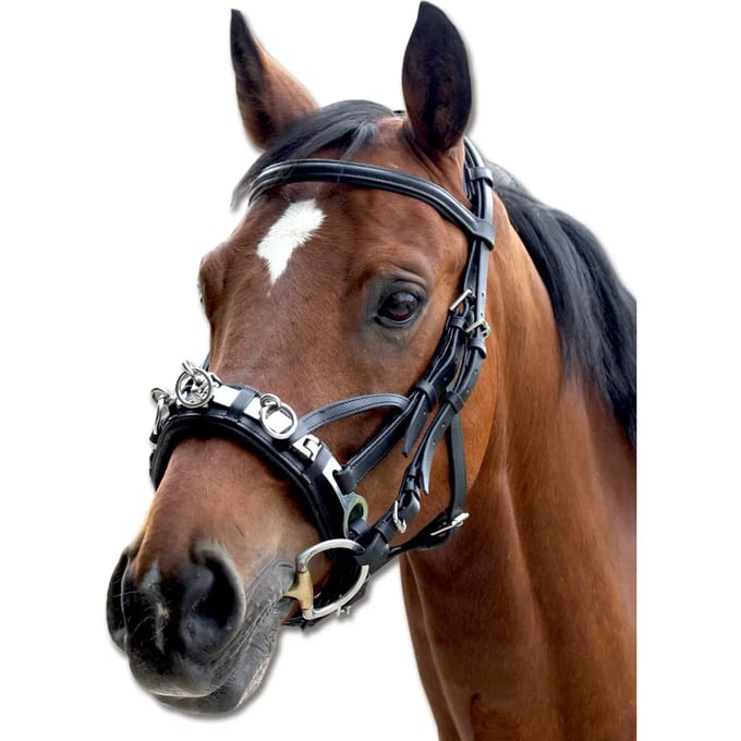 Waldhausen Waldhausen kaptoom, leer Cob Zwart