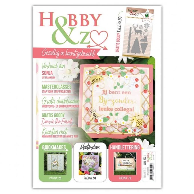 Hobby & Zo Nr. 13