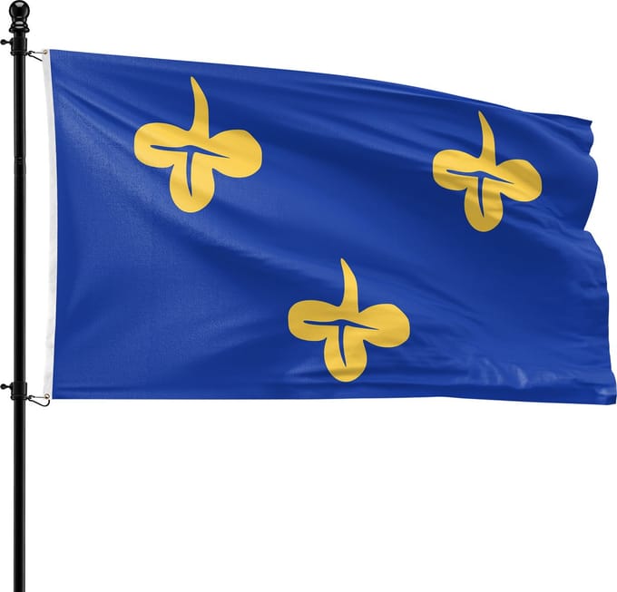 VlagDirect - Zoeterwoude vlag - Gemeente Zoeterwoude vlag - 90 x 150 cm.