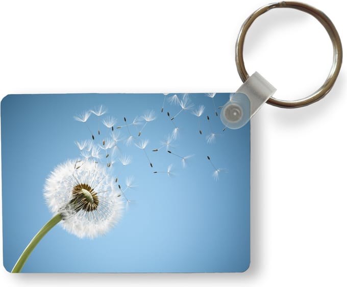 Sleutelhanger - Paardenbloem - Zaden - Lucht - Uitdeelcadeautjes - Plastic