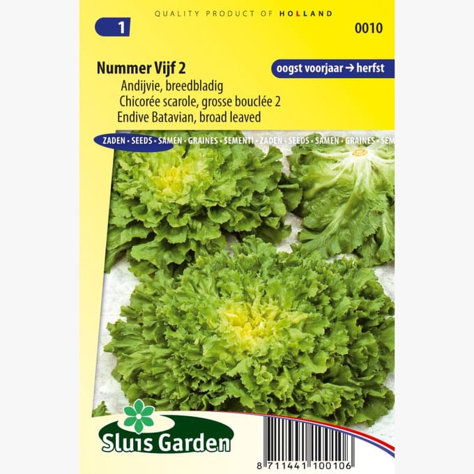 Sluis Garden - Andijvie Nummer Vijf 2