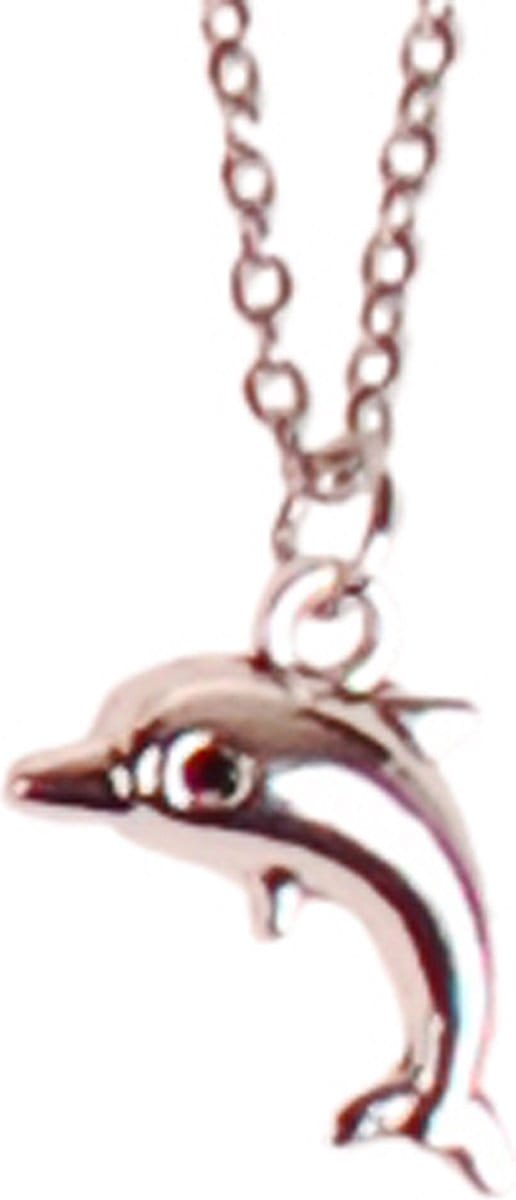 Ketting RVS 55cm - Hangertje Dolfijntje Enkel Zilverkleurig 2cm