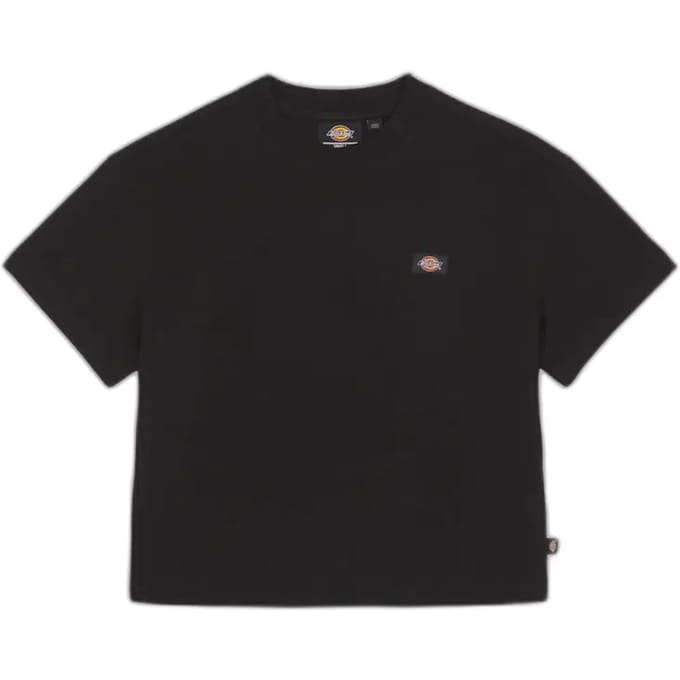 T-shirt Korte Mouw Dickies OAKPORT BOXY SS TEE