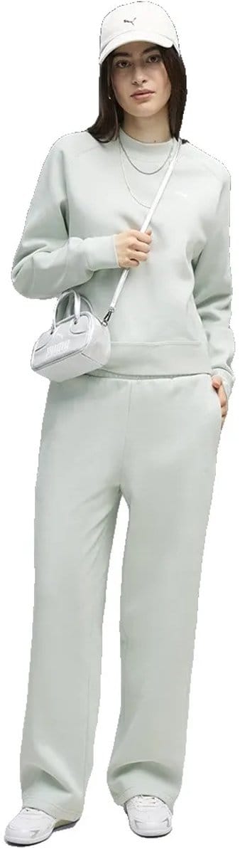 Puma  Trainingspak Loungewear Standard Sweat Suitt FL cl