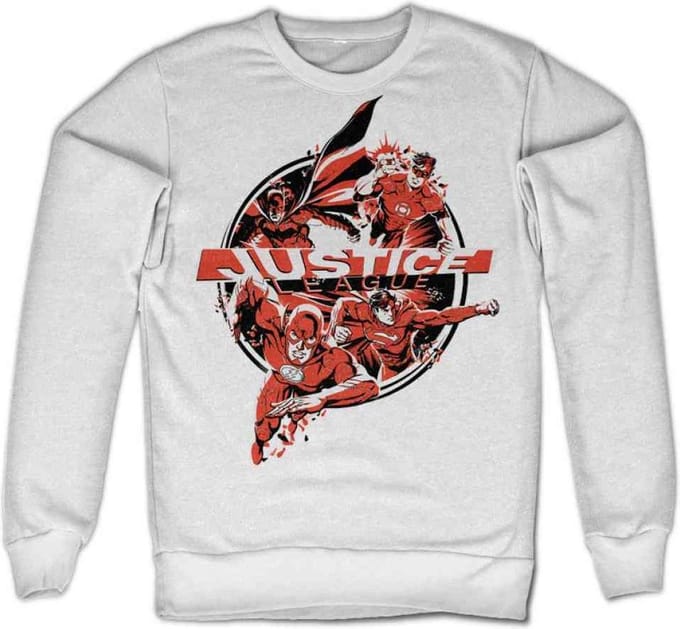 DC Comics Justice League Sweater/trui -S- Heroes Wit