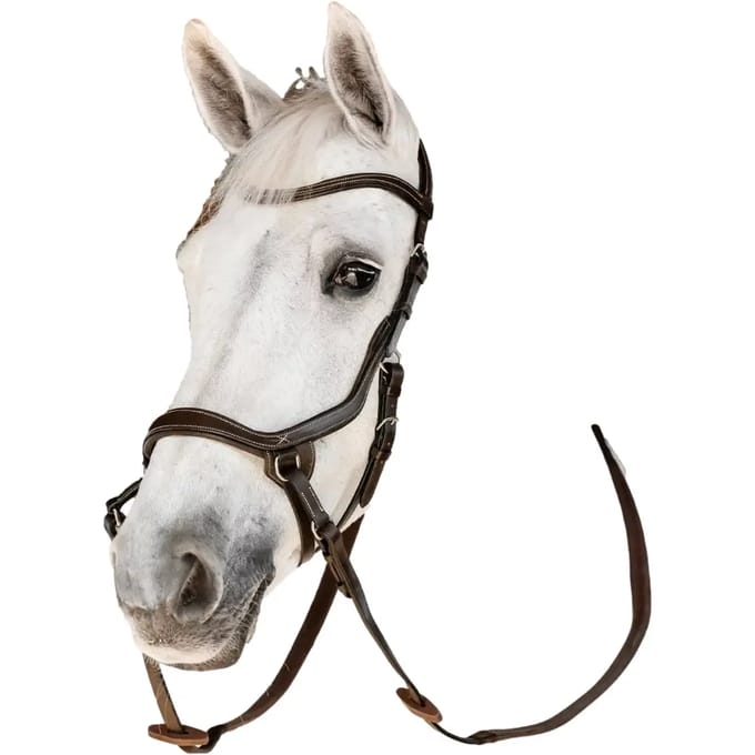 Bitloos hoofdstel voor paarden Horseware Micklem