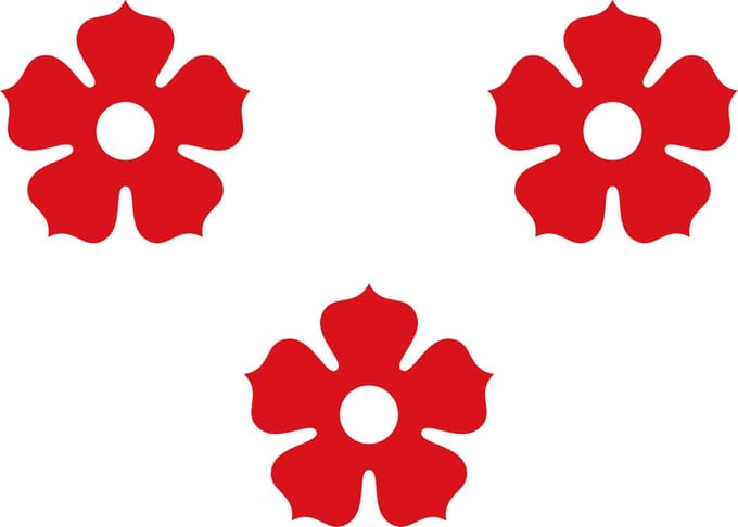 Vlag Ardooie 200x300cm