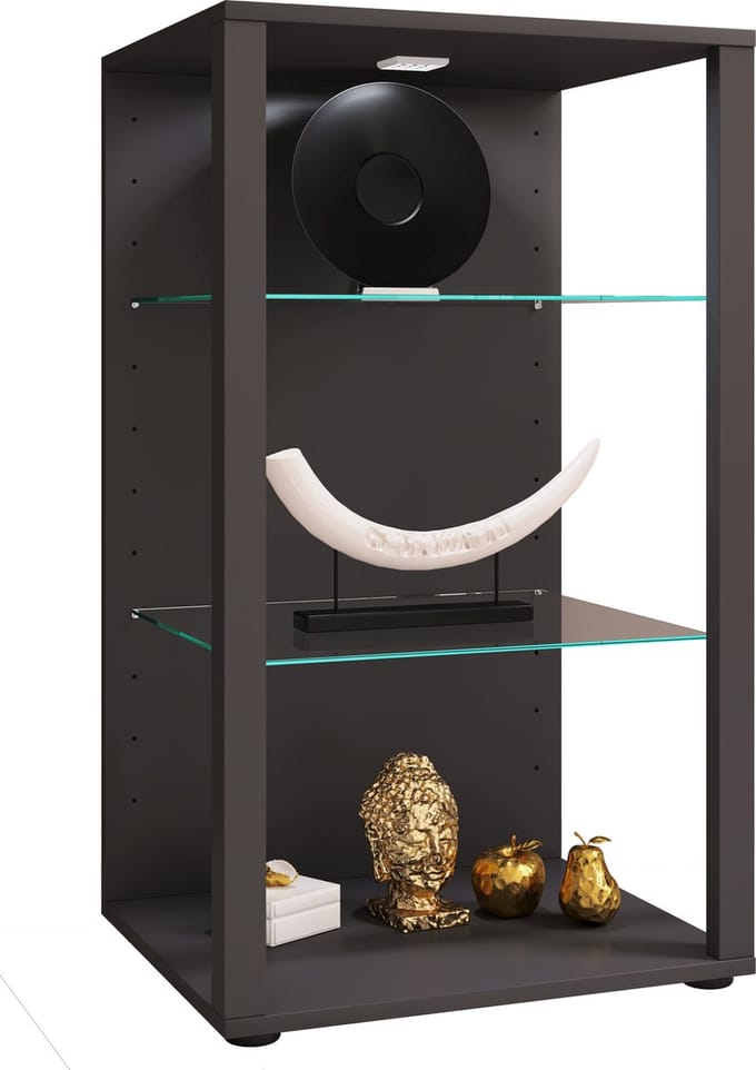Houten vitrinekast Glazen vitrinekast Glasol XL
