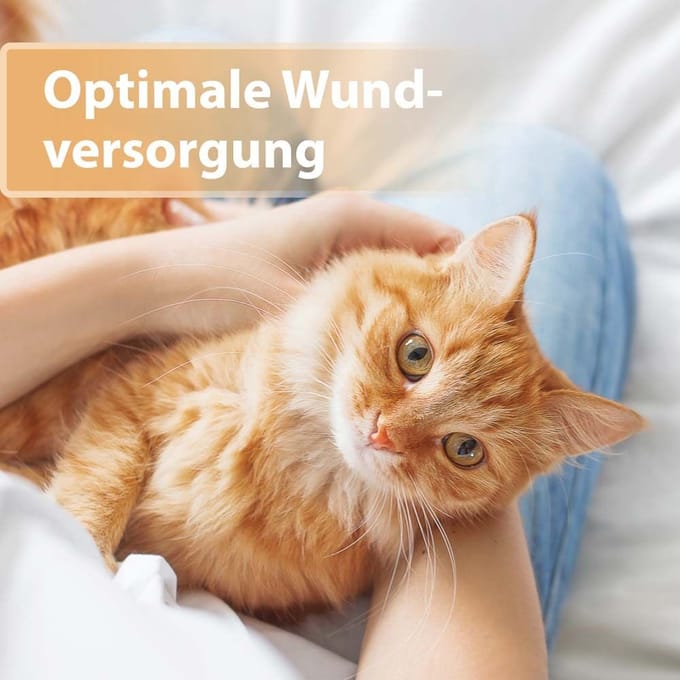 Felisept® Helende gel voor katten 20 Gel