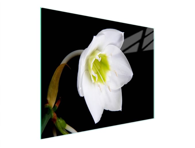 TMK ArtDeko Snijplank - Orchidee - 52x30 cm - Getemperd Glas