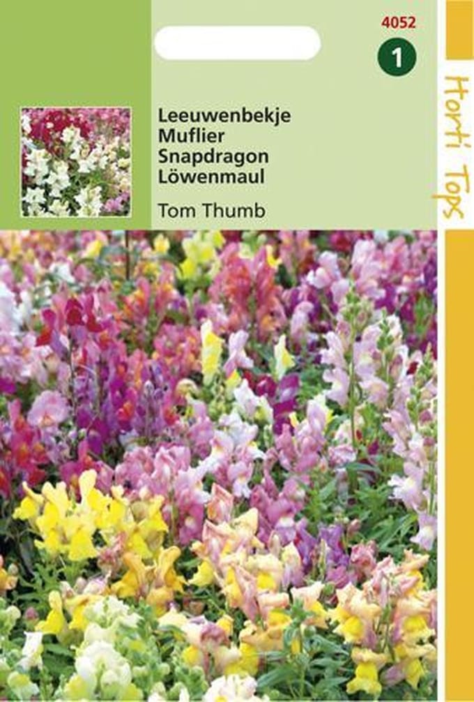 Hortitops Zaden - Antirrhinum Majus Pumilum Tom Thumb Gemengd