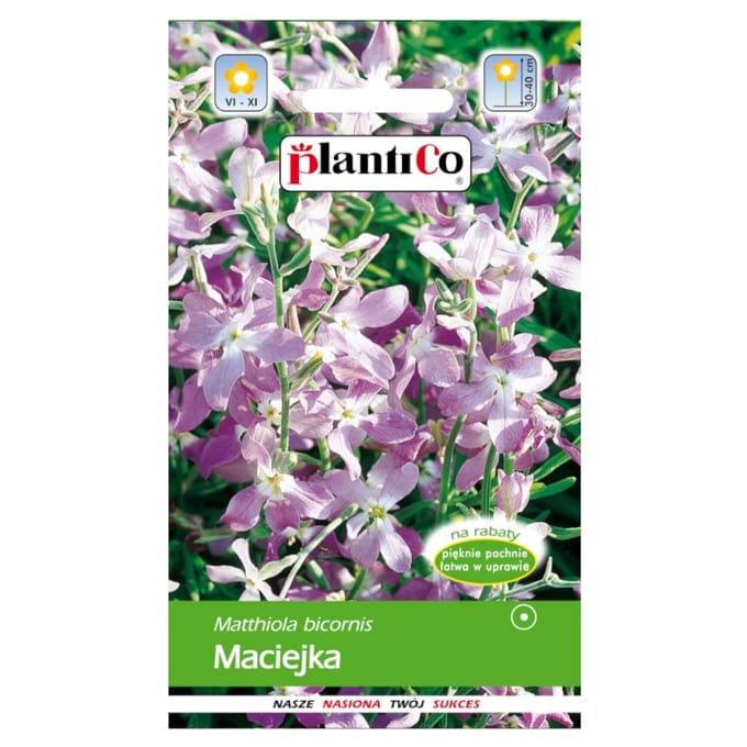 Maciejka 5g bloemzaden voor de tuin