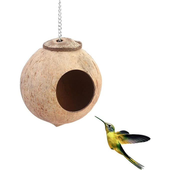 1 mangeoire à oiseaux en coquille de noix de coco naturelle avec trou de 6 cm beige