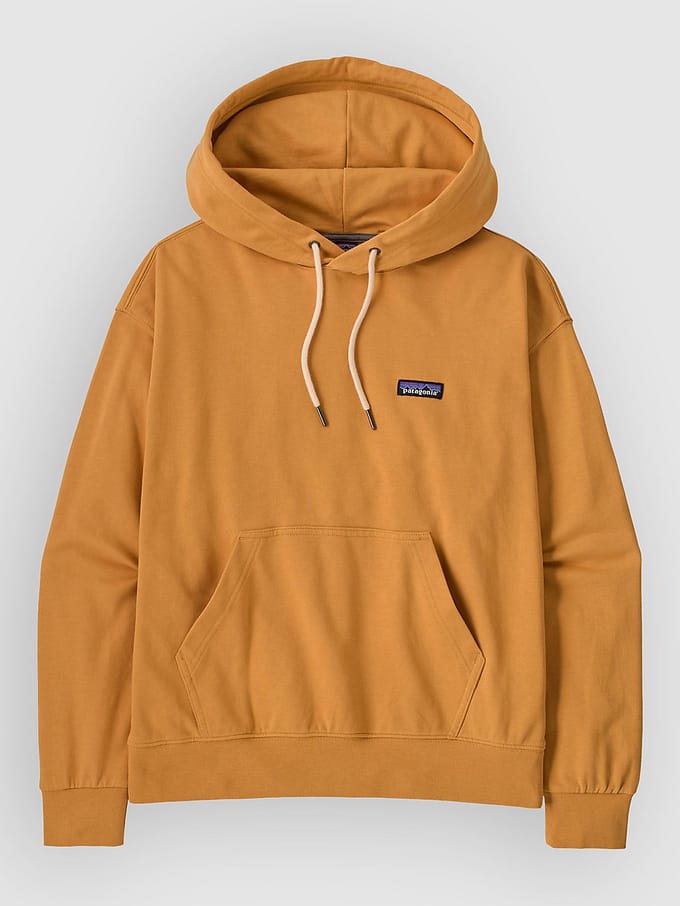 Patagonia Daily Hoodie oranje