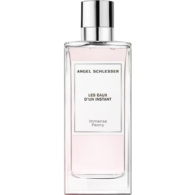 Angel Schlesser Les Eaux d'un Instant Eau de Toilette Spray Herenparfum Unisex 100 ml