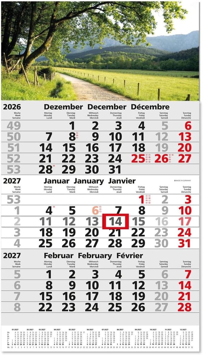 Wandelkalender - Multikleur - 33 x 53 cm - Compacte Driemaandskalender - Voor Kantoor en Thuis