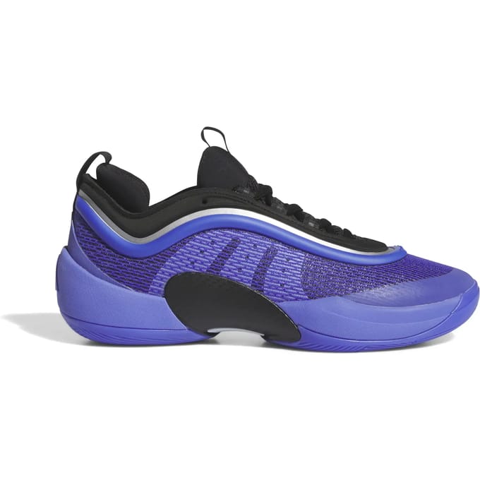 Basketbalschoenen adidas D.O.N. Issue 5