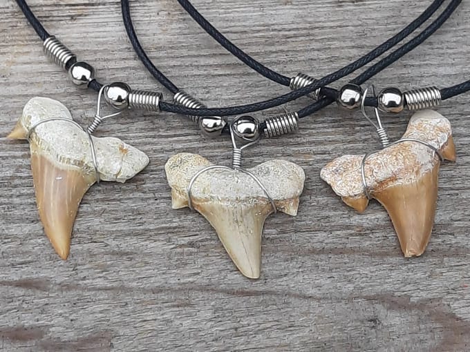 Fossiel haaientand met waxkoord ketting