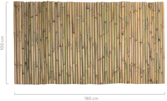 Masters of Bamboo® Bamboemat Basic - 180 x 100 cm - Naturel - Bamboe schutting op rol - Bamboe mat - Balkonscherm