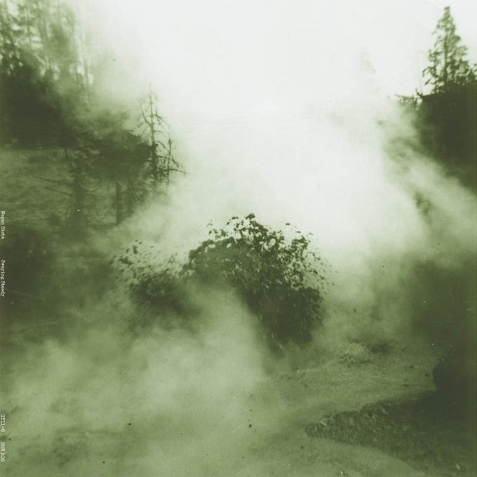 Megan Siebe - Swaying Steady (LP)