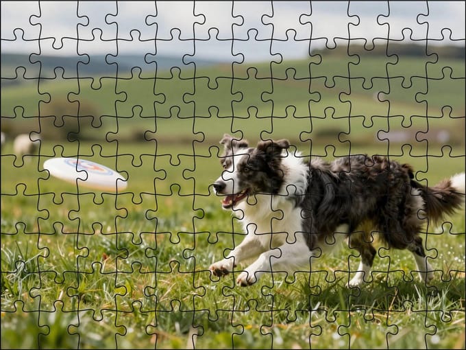 Puzzel Border Collie met frisbee | 120 stukjes | Dierenpuzzel | Hondenpuzzel