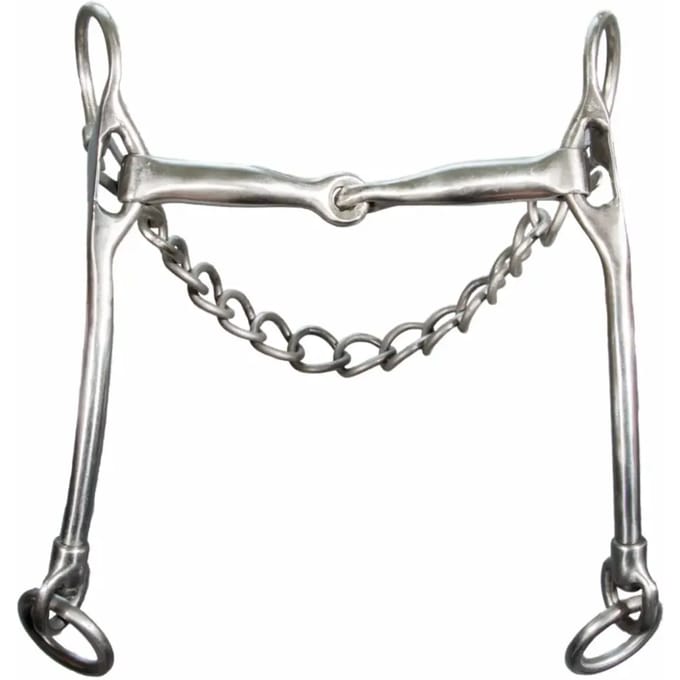 Titanium bitten voor paarden Karlslund