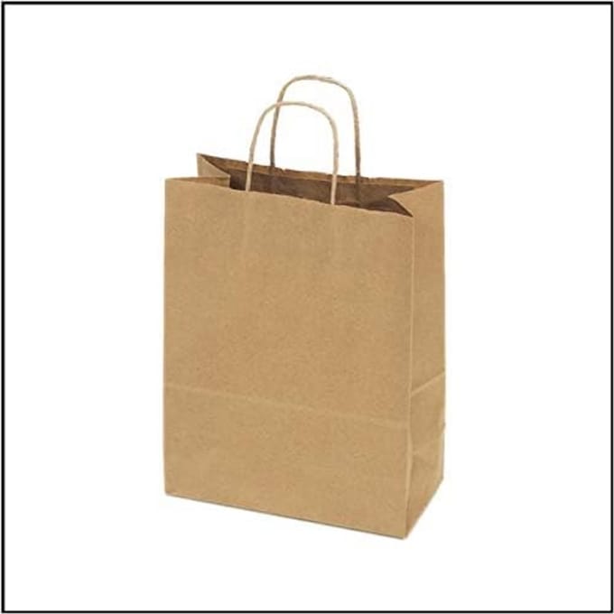 50 Medium Kraft Papieren Draagtassen met Touw Handvatten