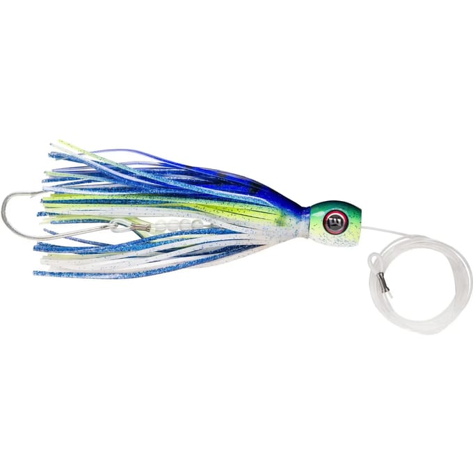 Lok Williamson Hspeed Sailfish