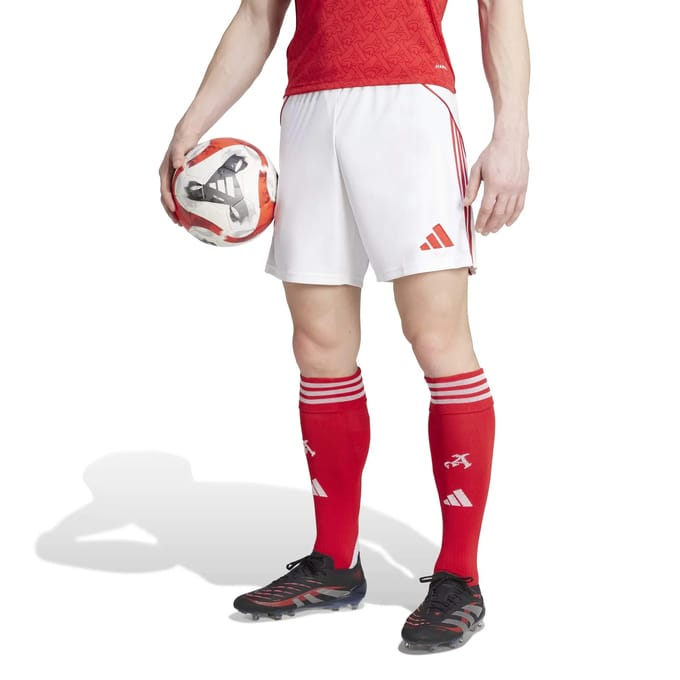 Korte Domicile Arsenal 2025/26
