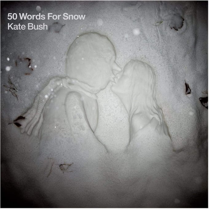 50 Words for Snow - Tiende Studioalbum - Wintersfeer en Muzikale Diepgang