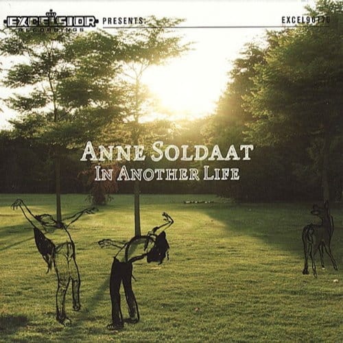 In Another Life - Anne Soldaat