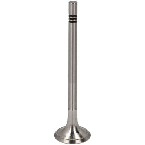 Uitlaatklep AE V95114