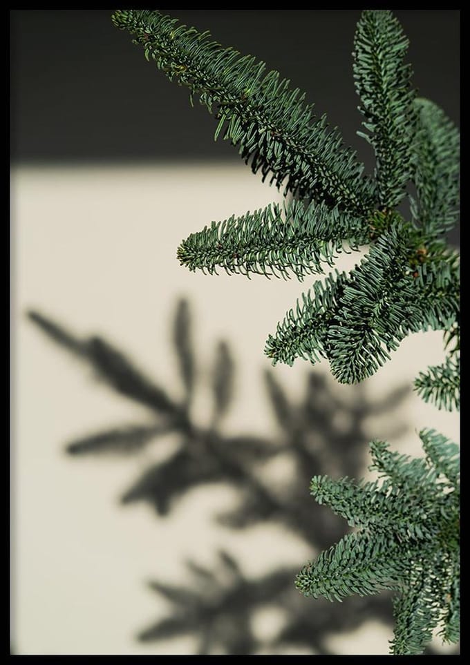 Poster Kersttak Schaduw - 70x100cm - Poster Kerst