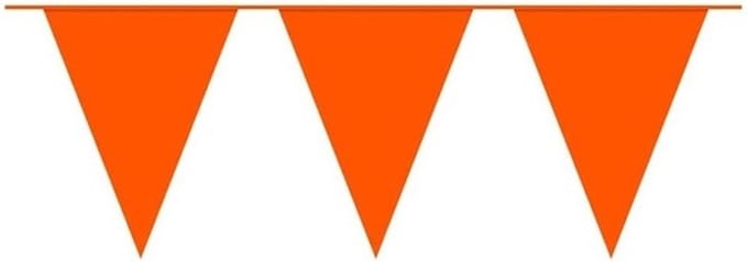 Boland Oranje Vlaggenlijn - Party - Feest - Verjaardag - Slinger