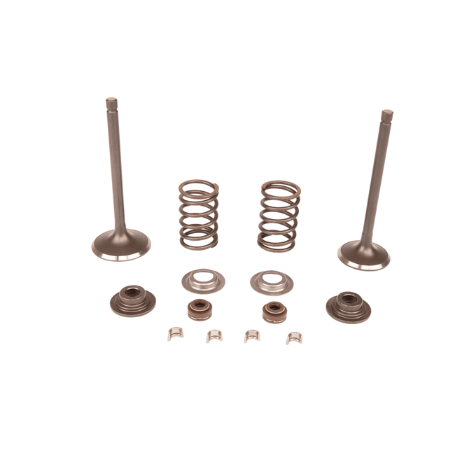 Valve kit