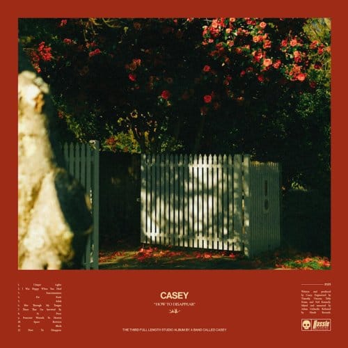 How To Disappear - Casey