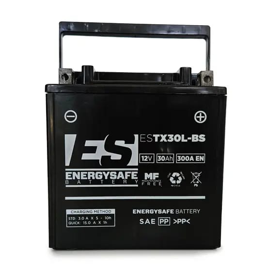 Batterij Energy Safe ESTX30L-BS