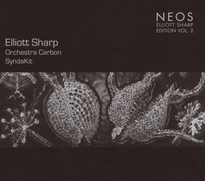 Elliott Sharp, Orchestra Carbon - Syndakit (CD)