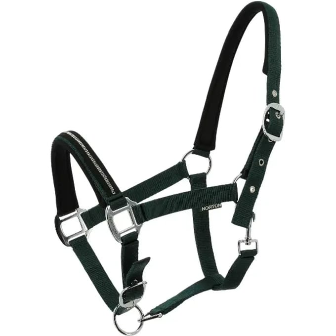 Halster voor paarden Norton Crystal