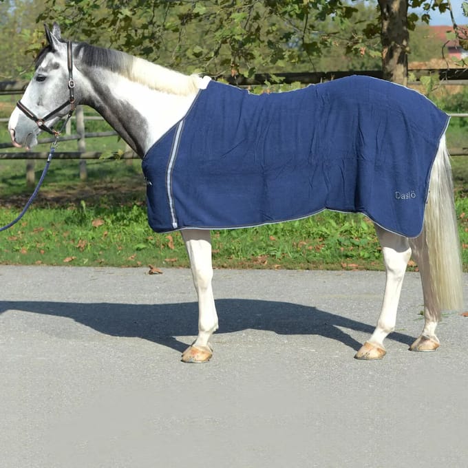 Terrycloth Paarden Shirt Daslö