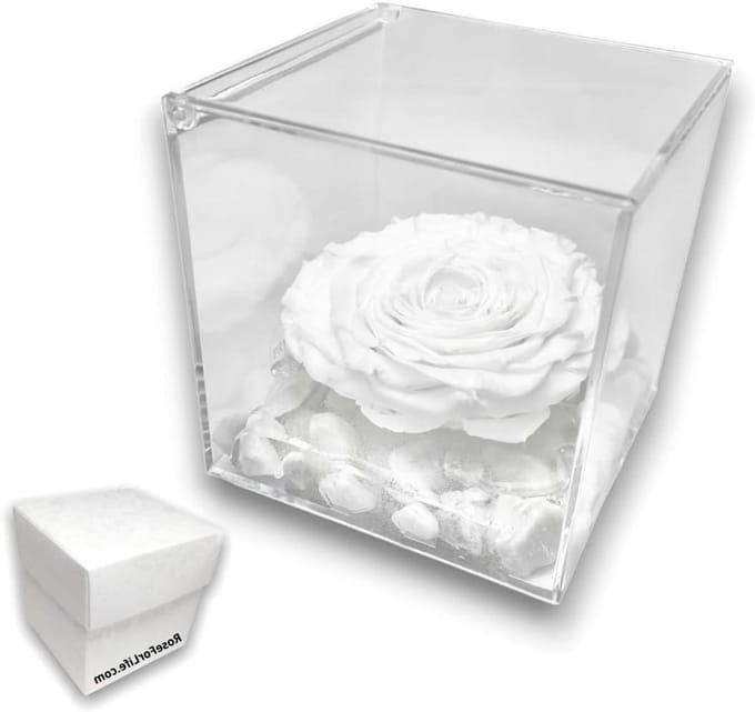 Gestabiliseerde Roos - Eeuwige Bloem - Cadeau Geven - Carrara Marmeren Basis - 12 cm Kubus - Wit