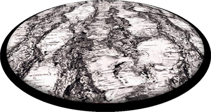 Bertoni - Tuinstoelkussens - waterdichte Tuinstoel Kussen - decoratief - 35 cm