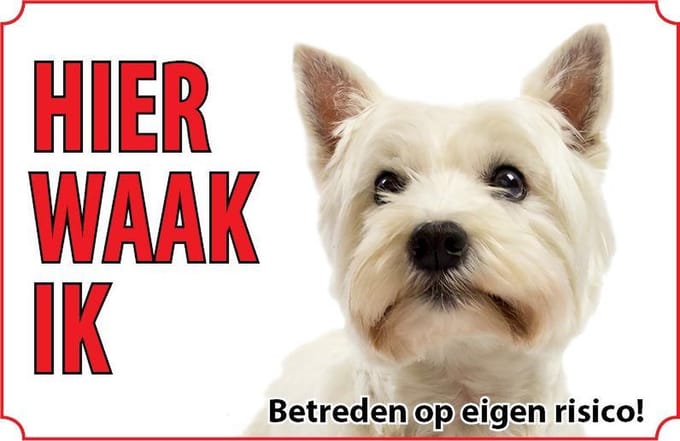 Bord - Hond-West-Highland-white-terriër