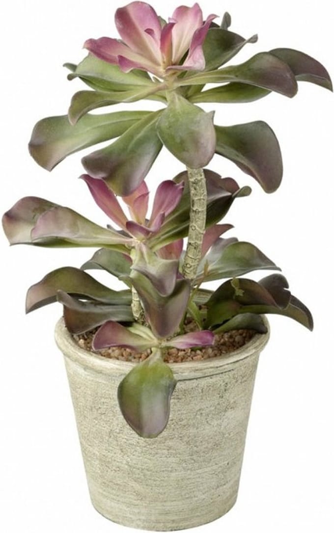 Parlane Kunst Echeveria in polyresinen sierpot - 15 x 15 x 43 cm