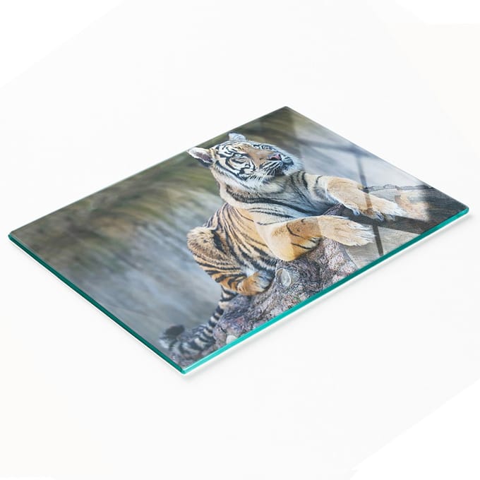 Multifunctionele decoratieve snijplank van gehard glas met tijgerprint, 80x52 cm