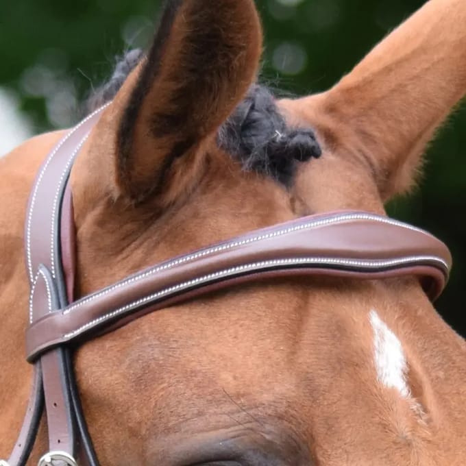 Frontaal voor paard Jump'In Bruxelles