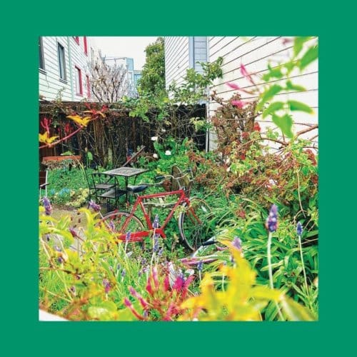 The Reds, Pinks And Purples - Unwishing Well (CD)