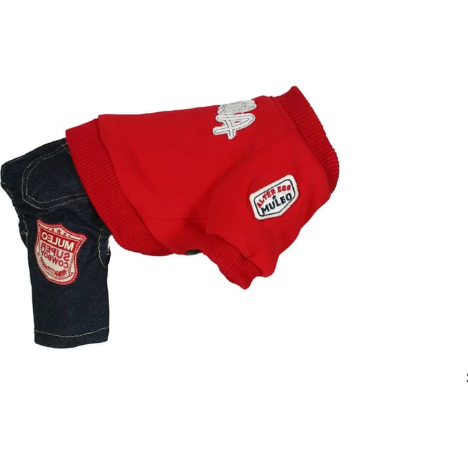 Sweatshirt en broek voor honden Martin Sellier US AE