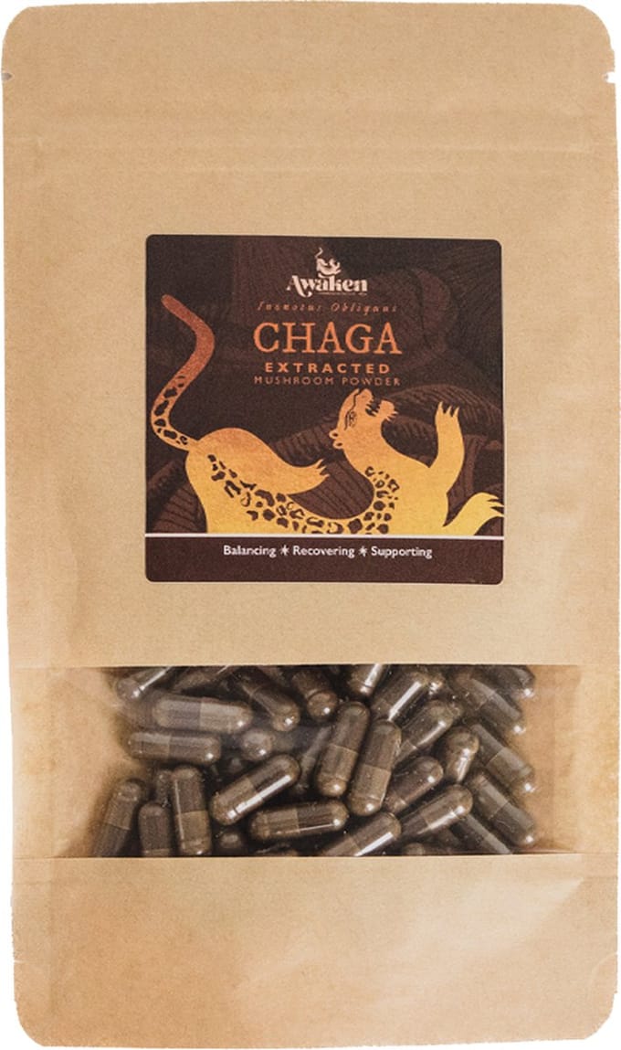 Awaken – Chaga Paddenstoelen Extract Capsules