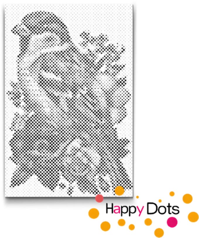 HappyDots DOT Painting Vogels 01 - 40x60cm